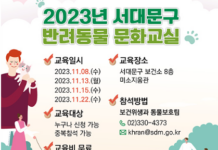 서대문구, 2023년 반려동물 문화교실 연다