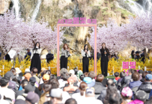 무르익은 벚꽃 아래 때마침 ‘서대문 봄빛축제’