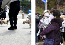 성숙한 반려동물 양육 문화 확산 ‘서대문 내품애(愛)센터’ 개소