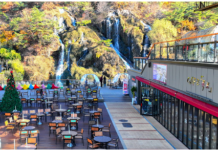 서대문구, 글로벌 힐링 명소 ‘카페(CAFE) 폭포’ 수익금으로 장학금 지원