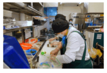 서대문구, 급식도우미 등 내년 노인일자리에 5,200명 모집