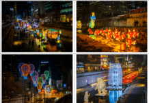 487만 발길 이어진 ‘빛의 향연’… ”진짜 축제는 지금부터”