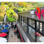 ‘행복한 일상이 기적으로’ 커피 한 잔 서대문구의 미래가 되다