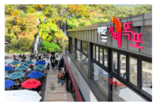 ‘행복한 일상이 기적으로’ 커피 한 잔 서대문구의 미래가 되다