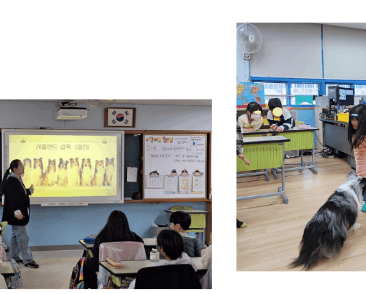 서대문구 강아지와 소통하는 ‘찾아가는 어린이 동물보호 교실’ 운영